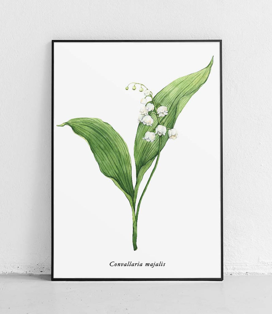 Lily of the valley - poster