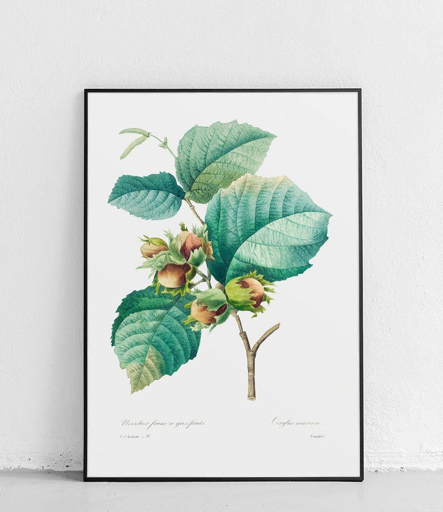 Southern Hazel - poster