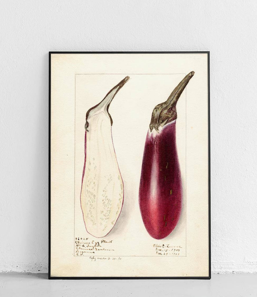 Eggplant - poster