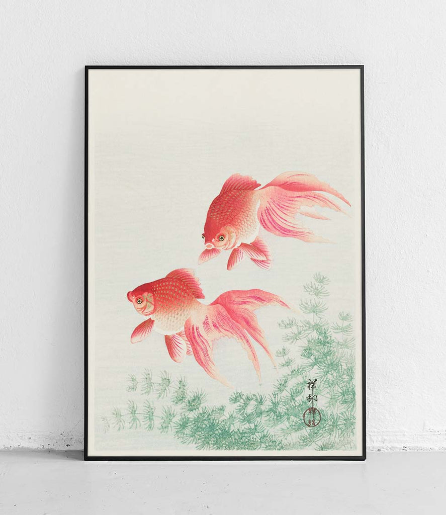 Two veiled goldfish - poster